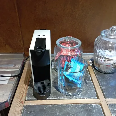 Magnolia Garden * フェラーラ