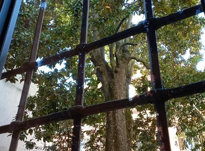 Magnolia Garden Appartamento Ferrara