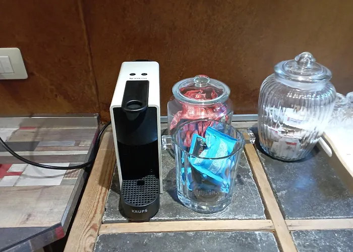 Magnolia Garden * Ferrare