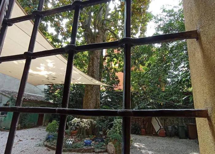 Magnolia Garden * 费拉拉